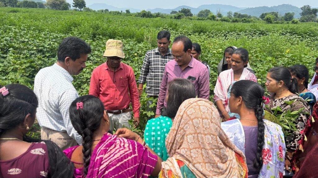 రసాయనాలకు దూరంగా.. ప్రకృతి సాగు బాటలో రైతులు