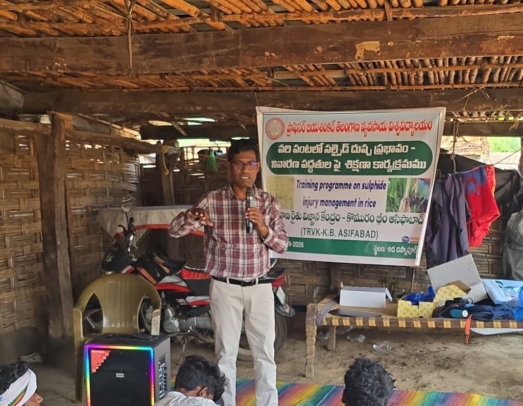 వరి పంటలో సల్ఫైడ్ దుష్ప్రభావం – నివారణ పద్ధతులపై శిక్షణ