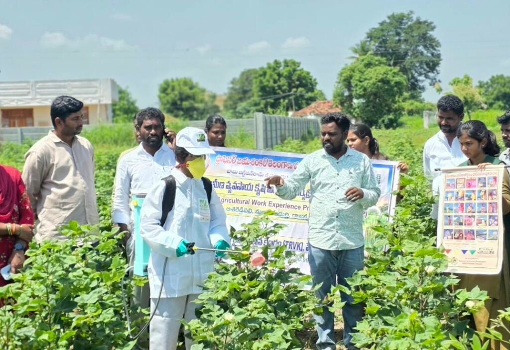 పురుగు మందుల పిచికారీలో జాగ్రత్తలు తప్పనిసరి : ఏఈఓ చిలువేరి ప్రవీణ్